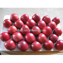 Chino Tianshui Red Huaniu Apple / Dulce Re huaniu manzana